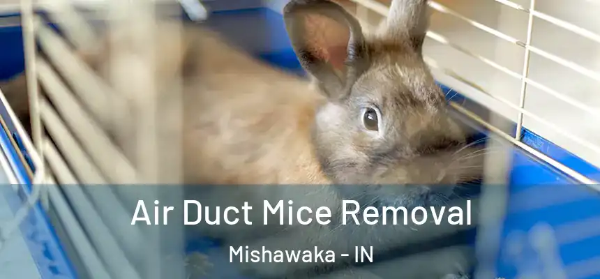 Air Duct Mice Removal Mishawaka - IN