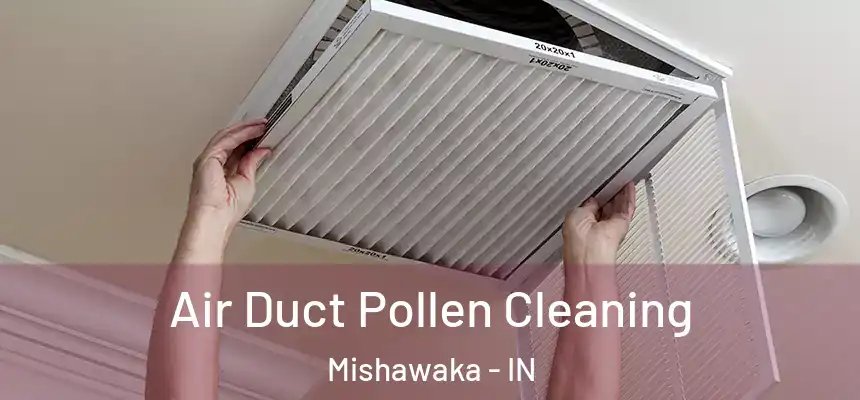 Air Duct Pollen Cleaning Mishawaka - IN
