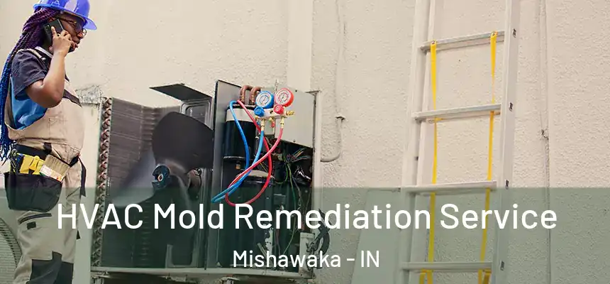 HVAC Mold Remediation Service Mishawaka - IN