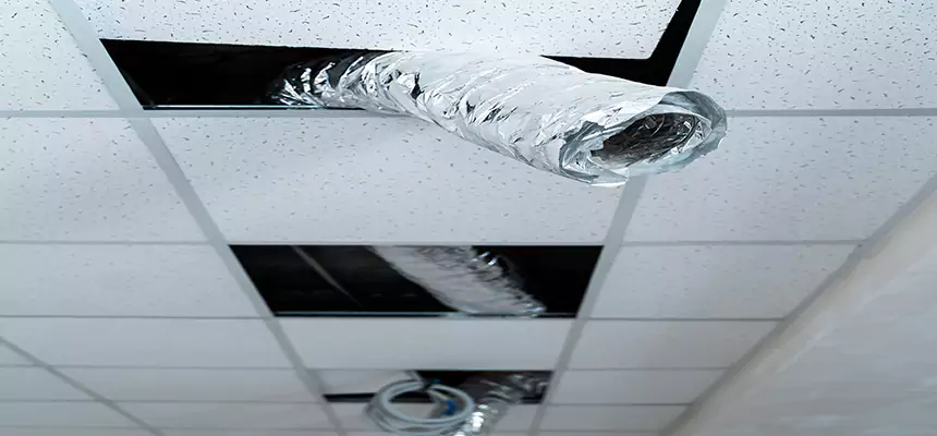 Our Air Duct Pet Hair Removal Services in Mishawaka, IN