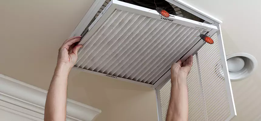 Our Insect Removal from Air Ducts Services in Mishawaka, IN