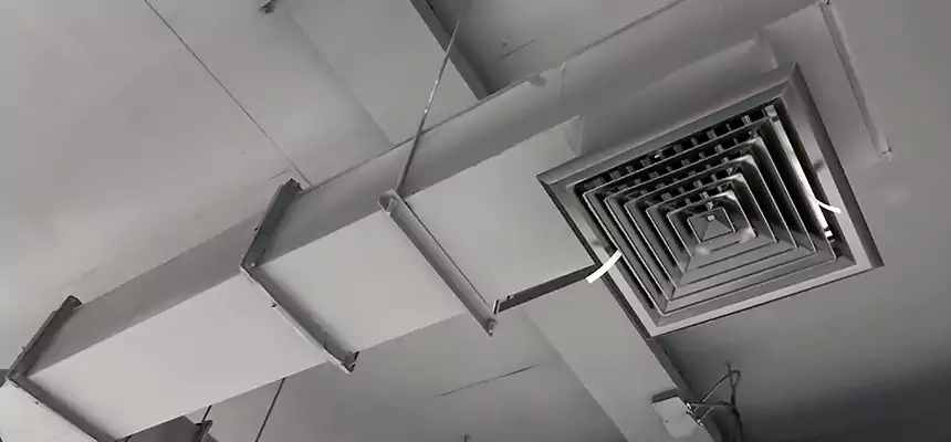 Our Rodent Droppings In Vents Services in Mishawaka, IN