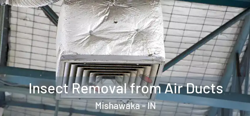 Insect Removal from Air Ducts Mishawaka - IN