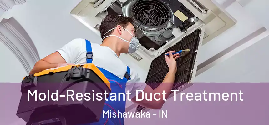 Mold-Resistant Duct Treatment Mishawaka - IN