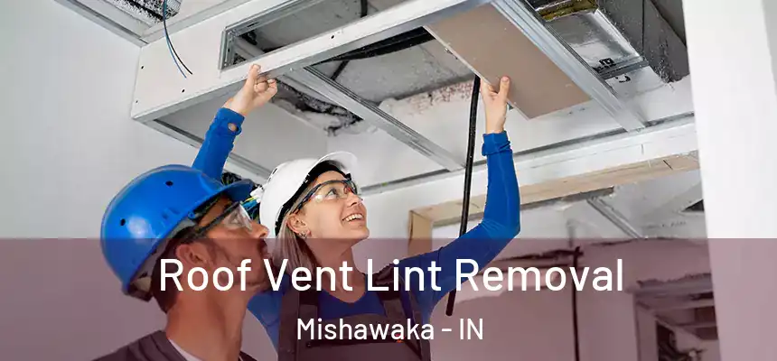  Roof Vent Lint Removal Mishawaka - IN