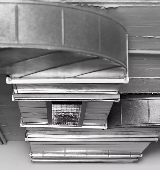 Professional Air Duct Pest Removal in Mishawaka, IN