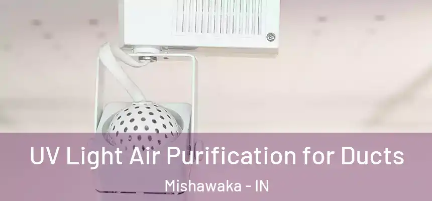  UV Light Air Purification for Ducts Mishawaka - IN